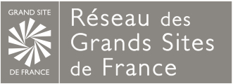 Logo RGSF Final